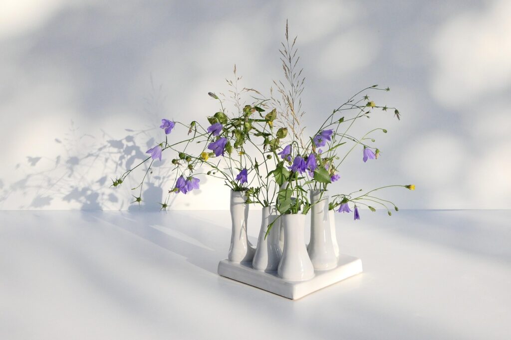 plants for indoor decor