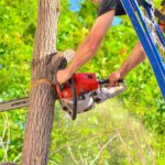 mo39 Stihl Gas Leaks When Tilted
