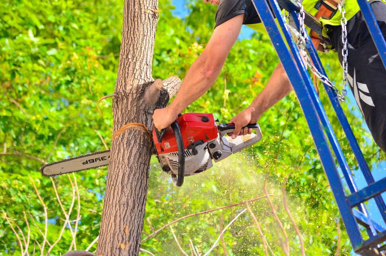 mo39 Stihl Gas Leaks When Tilted