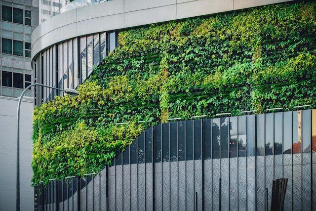 Exterior Wall Cladding