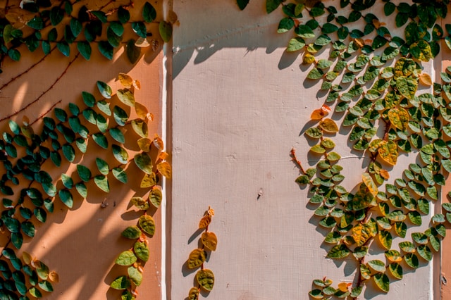 Exterior Wall Cladding