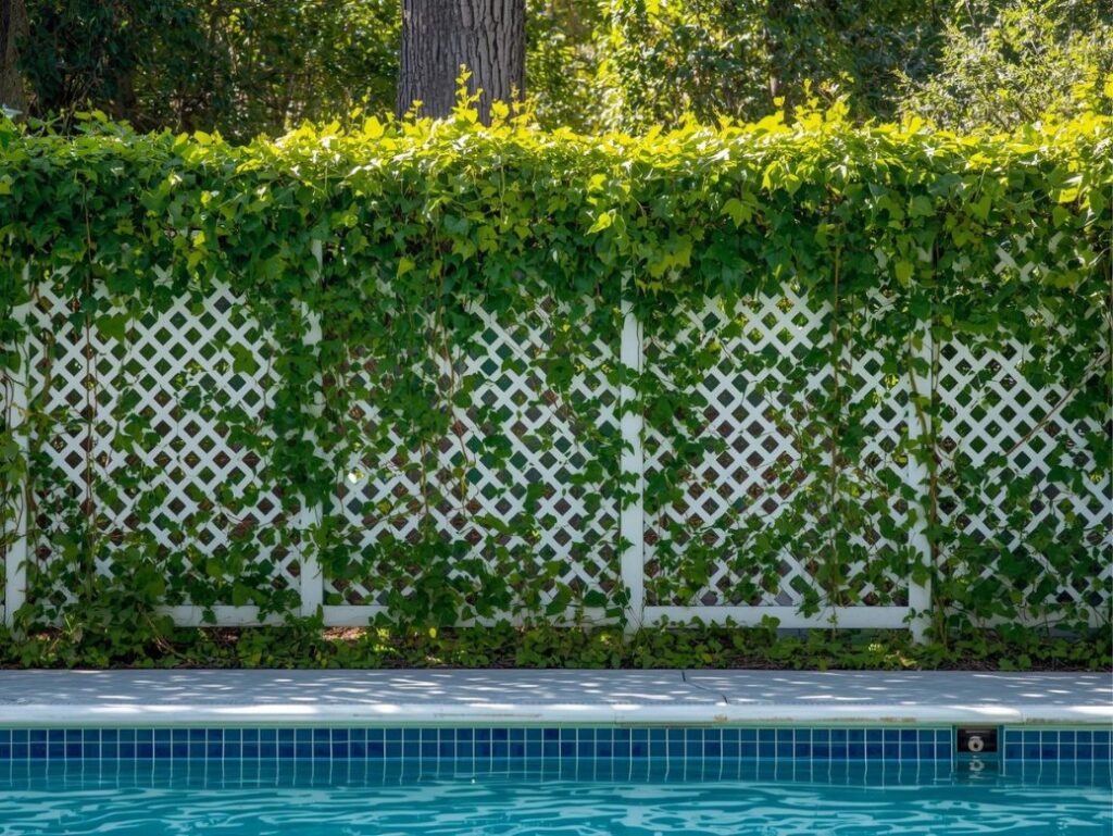 Pool Fences for Above-Ground